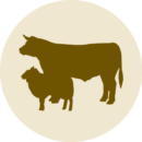 icon-farm-600px