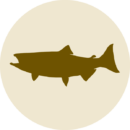 icon-fish-600px